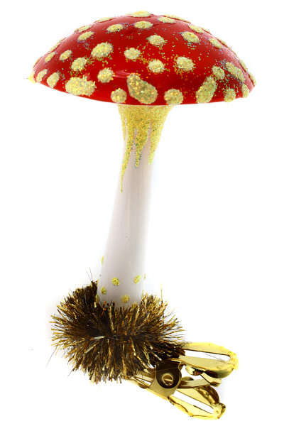 Der Fliegenpilz, ein faszinierender Pilz mit seiner charakteristischen roten Kappe und den wei...