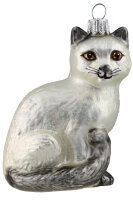 Katze silbergrau